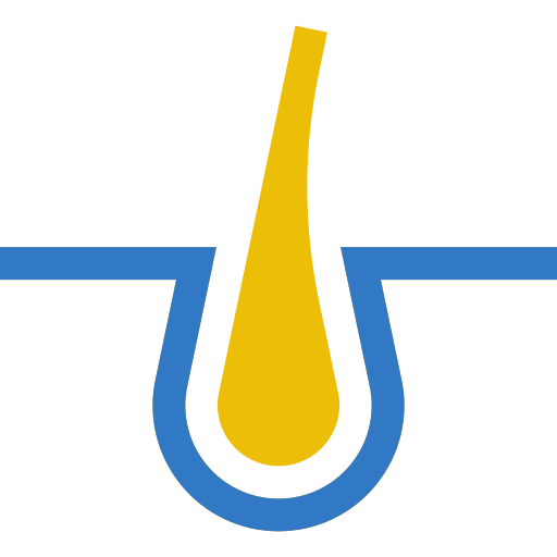 Hair Transplant Network